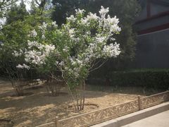 -三味书屋(复兴门内大街店)