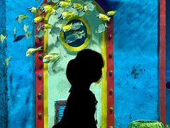 -大连圣亚海洋世界