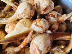 -雅和生态渔庄·宜城锅巴饭(龙灵山公园店)