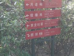 -杭州黄龙洞