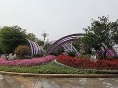 -海珠湖公园