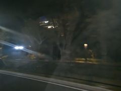 -野狸岛