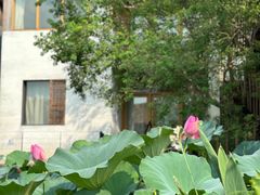 -祝甸砖窑文化馆