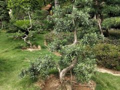 -牡丹游泳馆(金山馆)