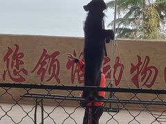 -东方熊牧场