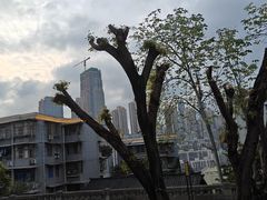 -廖记老砂锅(牛角沱店)