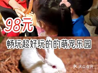 98元畅玩超级有趣的动物乐园