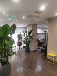 -崇尚GAVIN STYLE臻选