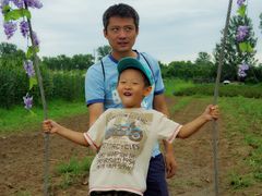 -北京东方普罗旺斯薰衣草庄园