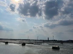 -奉贤海滩