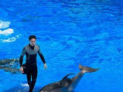 -海合安成都极地海洋公园