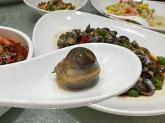 将军鲍-舌尖上·霞浦滩涂海鲜·新闽菜(总店)