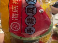 -海底捞火锅(新松江路店)