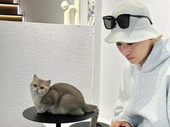 -琪喵猫屋·撸猫猫咖·猫舍
