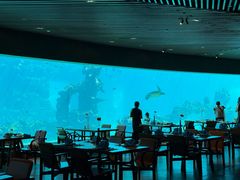 -海棠湾洲际-涛·海底餐厅·美人鱼·自助餐·海底隧道