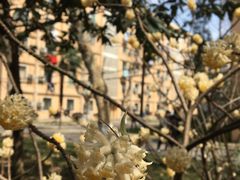 -南京航空航天大学(明故宫校区)