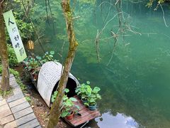 -石台牯牛降景区