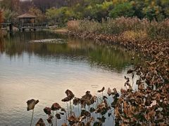 -同里国家湿地公园