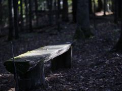 -五营红松林海景区