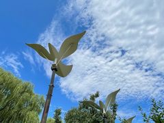 -野鸭湖国家湿地公园