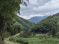 -仙霞关景区