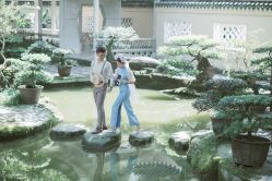 点击看大图 -金夫人婚纱摄影(总店)
