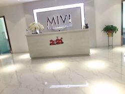 -MIVI半永久纹眉纹绣