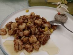 -丁老爷子苏香圆