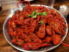 -海岛八号龙虾烧烤田鸡(蓝天路总店)