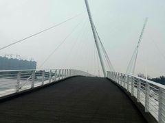 -映月湖中央公园