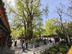 -潭柘寺景区