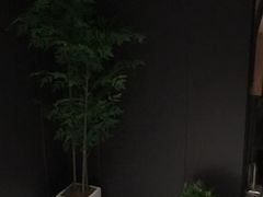 -梵猫·新养生(鹭江大同店)