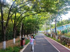 -云岗森林公园