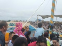 -秦皇岛乐岛海洋王国