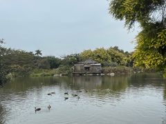 -海珠湖公园
