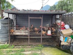 -遇见小院—虹鳟鱼•农家菜(怀柔店)