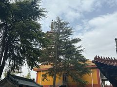 -高旻寺