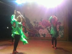 -金孔雀温泉旅游度假村