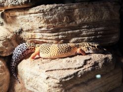 -Zoolung Zoolung动物主题公园(海信广场店)