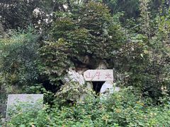 -太子山公园(园东路)