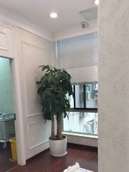 -武汉五洲整形外科医院