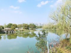 -新江湾城公园