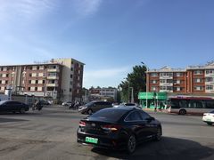 -甜心庄园·甜心草莓采摘园(西青中北店)