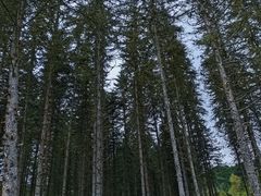 -硗碛藏寨·神木垒景区