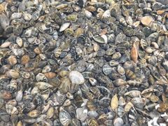 -恒达综合农贸市场(黄山路店)