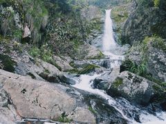 -东天目山风景区