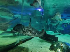 -成都浩海立方海洋公园