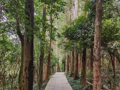 -小南山公园