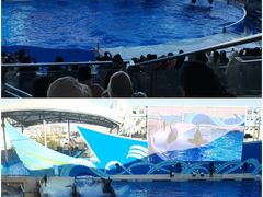 -上海海昌海洋公园