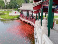 -西海子公园